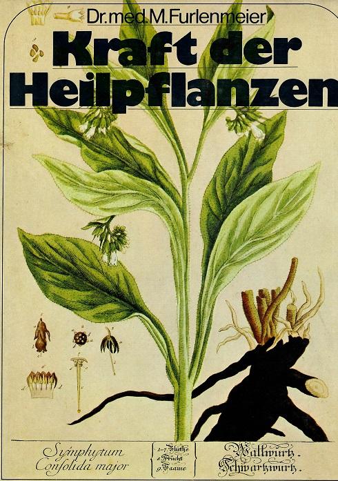 Furlenmeier, Kraft der Heilpflanzen.