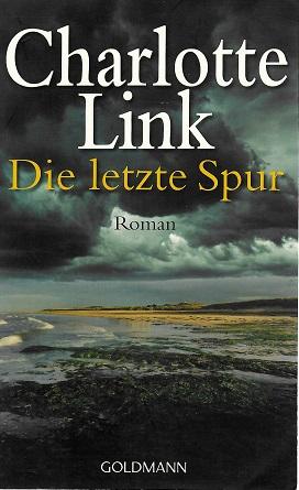 Link, Die letzte Spur.