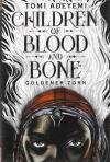 Adeyemi, Children of blood and bone - Goldener Zorn