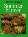 Herbel, Sommerblumen.