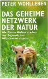 Wohlleben, Das geheime Netzwerk der Natur.jpeg